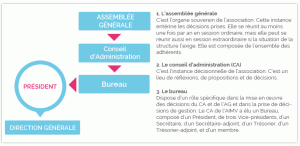 AIMV : organigramme associatif